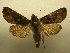  ( - 09-CRBS-329)  @13 [ ] Unspecified (default): All Rights Reserved  Unspecified Unspecified