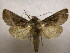  ( - 09-CRBS-331)  @14 [ ] Unspecified (default): All Rights Reserved  Unspecified Unspecified