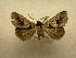  ( - 09-CRBS-334)  @13 [ ] Unspecified (default): All Rights Reserved  Unspecified Unspecified