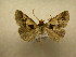  ( - 09-CRBS-335)  @13 [ ] Unspecified (default): All Rights Reserved  Unspecified Unspecified