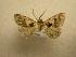  ( - 09-CRBS-336)  @13 [ ] Unspecified (default): All Rights Reserved  Unspecified Unspecified
