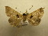  ( - 09-CRBS-348)  @13 [ ] Unspecified (default): All Rights Reserved  Unspecified Unspecified