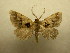  ( - 09-CRBS-349)  @14 [ ] Unspecified (default): All Rights Reserved  Unspecified Unspecified