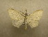  ( - 09-CRBS-372)  @13 [ ] Unspecified (default): All Rights Reserved  Unspecified Unspecified