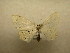  ( - 09-CRBS-373)  @12 [ ] Unspecified (default): All Rights Reserved  Unspecified Unspecified
