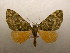  ( - 09-CRBS-377)  @11 [ ] Unspecified (default): All Rights Reserved  Unspecified Unspecified