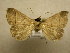  ( - 09-CRBS-386)  @14 [ ] Unspecified (default): All Rights Reserved  Unspecified Unspecified
