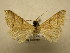 ( - 09-CRBS-390)  @13 [ ] Unspecified (default): All Rights Reserved  Unspecified Unspecified