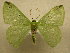  ( - 09-CRBS-397)  @14 [ ] Unspecified (default): All Rights Reserved  Unspecified Unspecified
