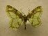  ( - 09-CRBS-400)  @13 [ ] Unspecified (default): All Rights Reserved  Unspecified Unspecified