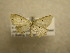  ( - 09-CRBS-421)  @12 [ ] Unspecified (default): All Rights Reserved  Unspecified Unspecified