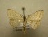  ( - 09-CRBS-425)  @13 [ ] Unspecified (default): All Rights Reserved  Unspecified Unspecified