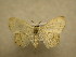 ( - 09-CRBS-427)  @13 [ ] Unspecified (default): All Rights Reserved  Unspecified Unspecified