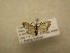  (Manoba BioLep8772 - 09-CRBS-520)  @12 [ ] Unspecified (default): All Rights Reserved  Unspecified Unspecified