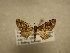  ( - 09-CRBS-531)  @13 [ ] Unspecified (default): All Rights Reserved  Unspecified Unspecified