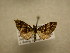  ( - 09-CRBS-532)  @12 [ ] Unspecified (default): All Rights Reserved  Unspecified Unspecified