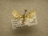  (Psaliodes BioLep383 - 09-CRBS-563)  @13 [ ] Unspecified (default): All Rights Reserved  Unspecified Unspecified