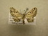  ( - 09-CRBS-602)  @13 [ ] Unspecified (default): All Rights Reserved  Unspecified Unspecified