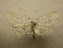  ( - 09-CRBS-704)  @13 [ ] Unspecified (default): All Rights Reserved  Unspecified Unspecified