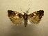  ( - 09-CRBS-716)  @14 [ ] Unspecified (default): All Rights Reserved  Unspecified Unspecified