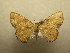  ( - 09-CRBS-728)  @13 [ ] Unspecified (default): All Rights Reserved  Unspecified Unspecified