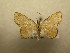  ( - 09-CRBS-729)  @13 [ ] Unspecified (default): All Rights Reserved  Unspecified Unspecified