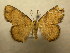  ( - 09-CRBS-730)  @13 [ ] Unspecified (default): All Rights Reserved  Unspecified Unspecified