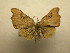  ( - 09-CRBS-756)  @14 [ ] Unspecified (default): All Rights Reserved  Unspecified Unspecified