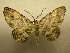  ( - 09-CRBS-793)  @13 [ ] Unspecified (default): All Rights Reserved  Unspecified Unspecified