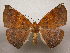  ( - 09-CRBS-869)  @14 [ ] Unspecified (default): All Rights Reserved  Unspecified Unspecified