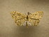  ( - 09-CRBS-873)  @14 [ ] Unspecified (default): All Rights Reserved  Unspecified Unspecified