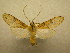 ( - 09-CRBS-889)  @13 [ ] Unspecified (default): All Rights Reserved  Unspecified Unspecified