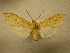  ( - 09-CRBS-895)  @12 [ ] Unspecified (default): All Rights Reserved  Unspecified Unspecified