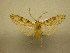  ( - 09-CRBS-908)  @13 [ ] Unspecified (default): All Rights Reserved  Unspecified Unspecified