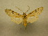  ( - 09-CRBS-909)  @13 [ ] Unspecified (default): All Rights Reserved  Unspecified Unspecified