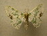  ( - 09-CRBS-930)  @13 [ ] Unspecified (default): All Rights Reserved  Unspecified Unspecified