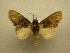  ( - 10-CRBS-022)  @13 [ ] Unspecified (default): All Rights Reserved  Unspecified Unspecified
