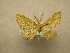  ( - 10-CRBS-039)  @13 [ ] Unspecified (default): All Rights Reserved  Unspecified Unspecified