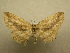  ( - 10-CRBS-051)  @11 [ ] Unspecified (default): All Rights Reserved  Unspecified Unspecified