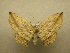  ( - 10-CRBS-052)  @14 [ ] Unspecified (default): All Rights Reserved  Unspecified Unspecified