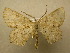  ( - 10-CRBS-054)  @14 [ ] Unspecified (default): All Rights Reserved  Unspecified Unspecified