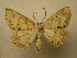  ( - 10-CRBS-055)  @14 [ ] Unspecified (default): All Rights Reserved  Unspecified Unspecified