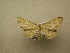  ( - 10-CRBS-075)  @12 [ ] Unspecified (default): All Rights Reserved  Unspecified Unspecified