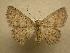  ( - 10-CRBS-077)  @14 [ ] Unspecified (default): All Rights Reserved  Unspecified Unspecified