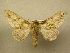  ( - 10-CRBS-093)  @14 [ ] Unspecified (default): All Rights Reserved  Unspecified Unspecified