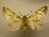  ( - 10-CRBS-094)  @14 [ ] Unspecified (default): All Rights Reserved  Unspecified Unspecified