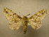  ( - 10-CRBS-095)  @14 [ ] Unspecified (default): All Rights Reserved  Unspecified Unspecified