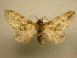  ( - 10-CRBS-096)  @14 [ ] Unspecified (default): All Rights Reserved  Unspecified Unspecified