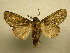  ( - 10-CRBS-117)  @14 [ ] Unspecified (default): All Rights Reserved  Unspecified Unspecified