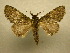  ( - 10-CRBS-118)  @14 [ ] Unspecified (default): All Rights Reserved  Unspecified Unspecified